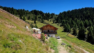 Die Gönneralm in Oberwielenbach bei Percha