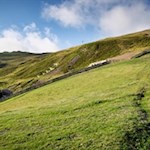 Die hier vorgeschlagene Rundwanderung auf den Gabler führt an der Rossalm vorbei