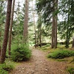 Schattenspendende Bäume säumen unseren Weg