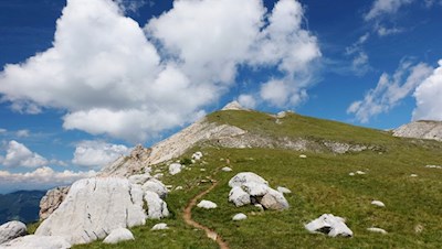 Der grasdurchzogene Südrücken des Pares