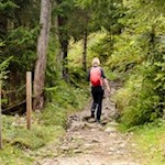 Durch den Wald zurück nach Tann bei Klobenstein