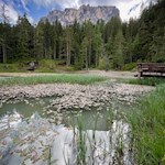 Lunch See (Lech Dlá Lunch)