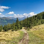 Hinter der Waldgrenze dehnen sich schöne Weidewiesen aus