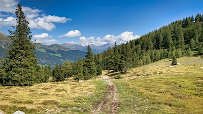 Hinter der Waldgrenze dehnen sich schöne Weidewiesen aus