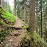 Auf dem ziemlich steil ansteigenden Weg Nr. 11