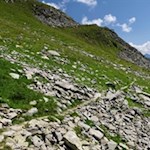 Durch steinbeschlagene Bergwiesen zur Chemnitzer Hütte