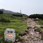 Der letzte Anstieg auf das Rittner Horn