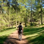 Durch malerische Lärchenwiesen zur Vöraner Alm