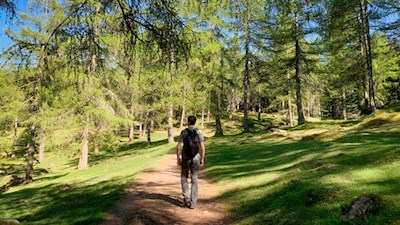 Durch malerische Lärchenwiesen zur Vöraner Alm