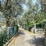 Der Weg von Torri del Benaco nach Crero führt teilweise über asphaltierte Sträßchen