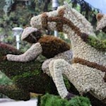 Der-Pferderennplatz-in-Meran