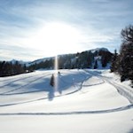 „Ach, die bleiche Sonne Wintersonne! Sie ist traurig wie eine glückliche Erinnerung." (G. Flaubert)