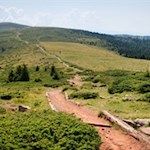 Auf dem Weg zum bereits sichtbaren Kreuzjoch