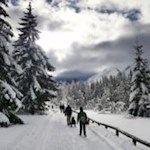 Gleichsam von Malerhand - Moos am Eingang des Fischleintals