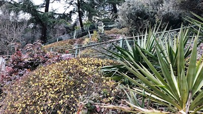 Längs des Weges gedeiht eine üppige Flora