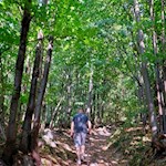 Durch den lichten Laubwald zur Leuchtenburg