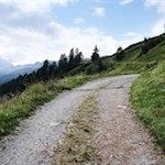 „Am Ziel deiner Wünsche wirst du jedenfalls eines vermissen: dein Wandern zum Ziel.“ (M. von Ebner-Eschenbach)