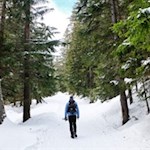 Winterwanderung zur Gasserhütte