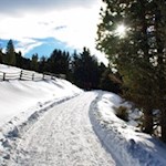 Sanft steigt der Wanderweg zur Taistner Alm an