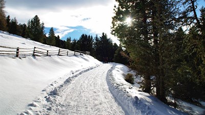 Sanft steigt der Wanderweg zur Taistner Alm an