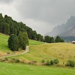 Sanft schlängelt sich der Zirbelkieferweg durch die berückende Landschaft