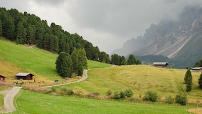 Sanft schlängelt sich der Zirbelkieferweg durch die berückende Landschaft
