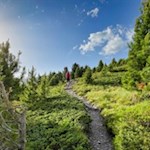 Über schöne Weidehänge zur Rossalm