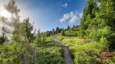 Über schöne Weidehänge zur Rossalm