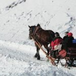 Gemütliche Schlittenfahrt auf der Plose