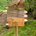 Our little walk is well signposted