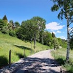 Der erste Teil der Wanderung folgt der asphaltierten Straße
