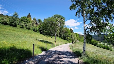 Der erste Teil der Wanderung folgt der asphaltierten Straße