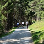 Der Wanderweg zur Moarhofalm erfreut sich bei Wanderern und MTB-Fahrern großer Beliebtheit