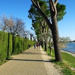 Die Uferpromenade führt von Bardolino nach Garda
