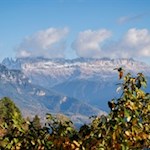 „Wer die Kostbarkeit des Augenblicks entdeckt, findet das Glück des Alltags.“ (Adalbert Stifter)