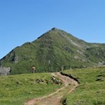 Vor der Kulisse des Fallmetzer führt der Weg Nr. 21 zum Ochsenboden