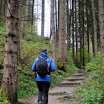 Über den bewaldeten Burghügel 