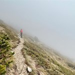 Salita nebbiosa al monte Stivo