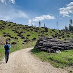 Auf sanften Wegen zur Messnerjoch Hütte 