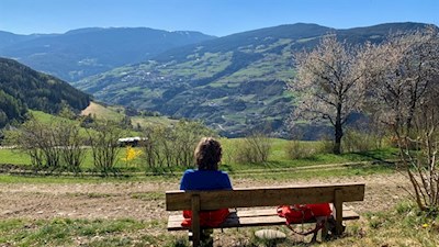 Auch auf dem Rückweg nach Albions laden Bänke zum Verweilen ein