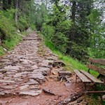 Auf dem alten Plattenweg zur Moschwaldalm