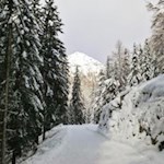 Die gut präparierte Rodelbahn von der Moarhofalm