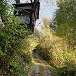 Hochsitz am Biotop Laugen