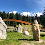 Teile des Weges folgen dem Schöpfungsweg