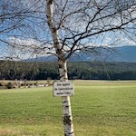 Auf dem Pfaffensteig