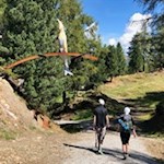 Am fünften Tag hauchte Gott den Vögeln und Fischen Leben ein