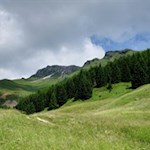 Durch malerische Almwiesen von Hütte zu Hütte