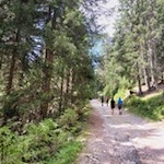 Die Wanderung auf den Lutterkopf erfreut sich großer Beliebtheit