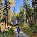 Durch den idyllischen Wald in Richtung Crep de Sela