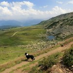 Und noch jemand genießt die Aussicht...